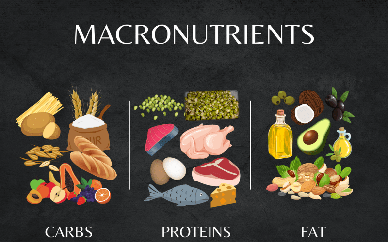 Macronutrients- Best Weight Loss Diet Plan For Women