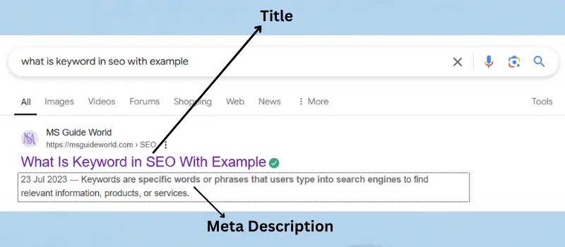 On-Page SEO Example - What is SEO